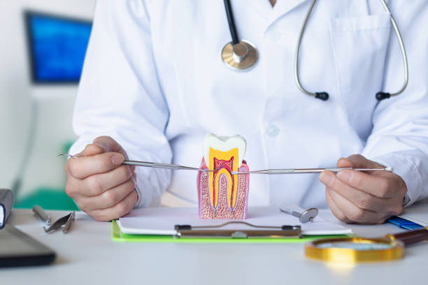 Best Emergency Tooth Extraction in St Johns, AZ
